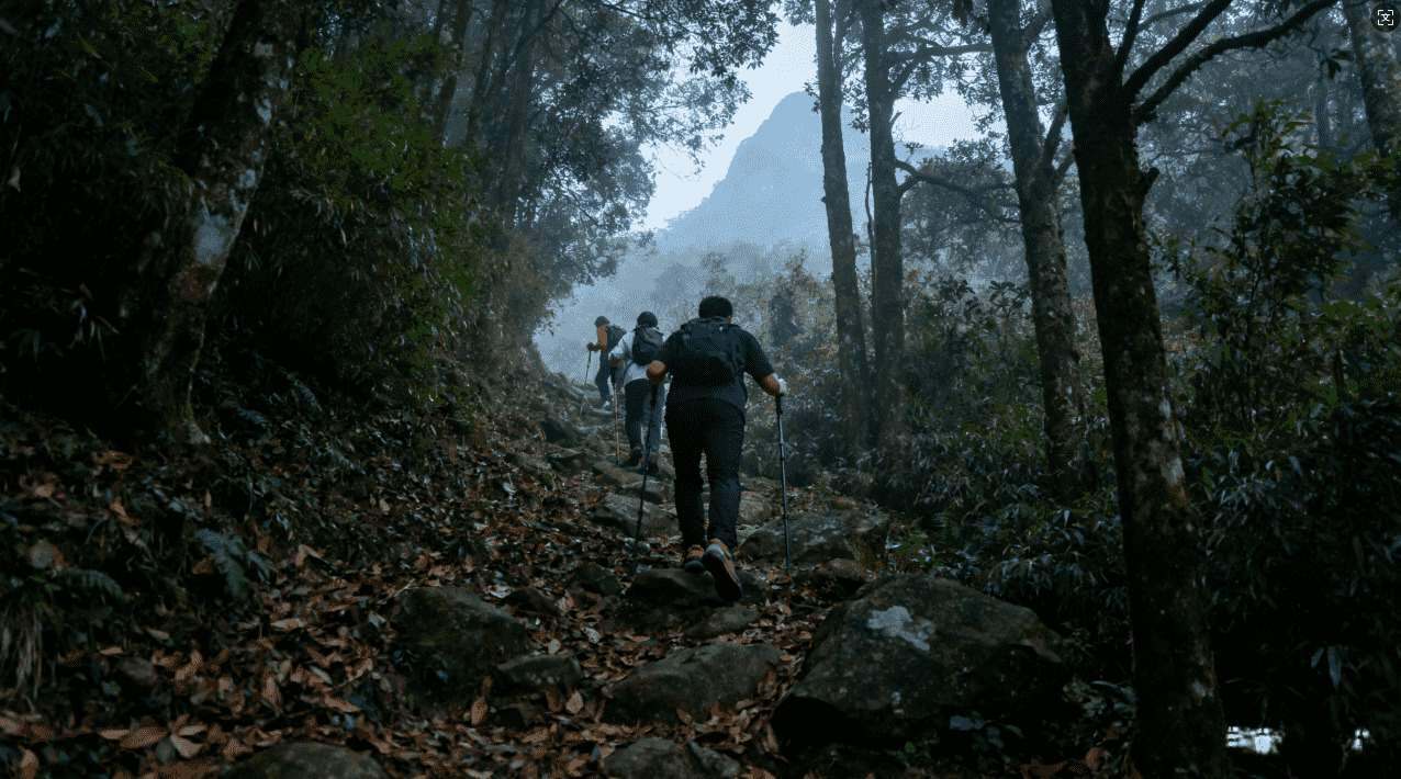 2024年最新流量光机场官网登录入口导航指南及官方官方网址大全