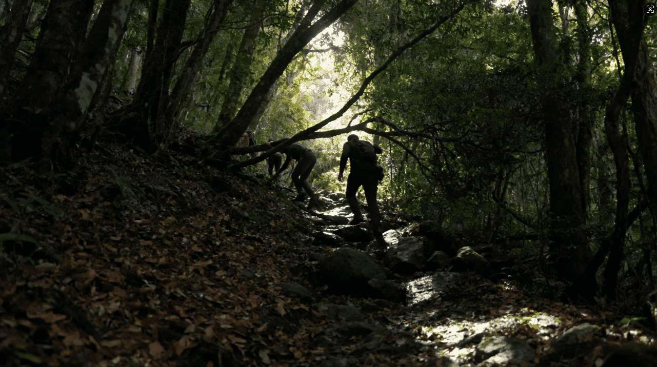 全面解析Clas配置订阅机场的使用方法及注意事项与技巧